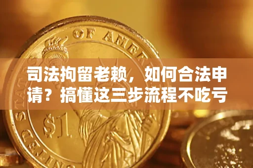 武汉司法拘留老赖，如何合法申请？搞懂这三步流程不吃亏！