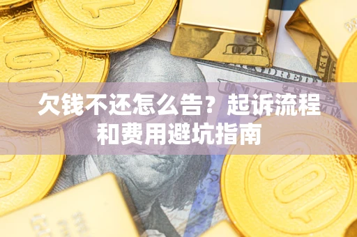 武汉欠钱不还怎么告？起诉流程和费用避坑指南