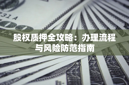 武汉股权质押全攻略：办理流程与风险防范指南