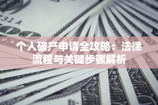 武汉个人破产申请全攻略：法律流程与关键步骤解析