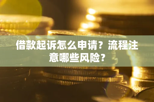 武汉借款起诉怎么申请？流程注意哪些风险？